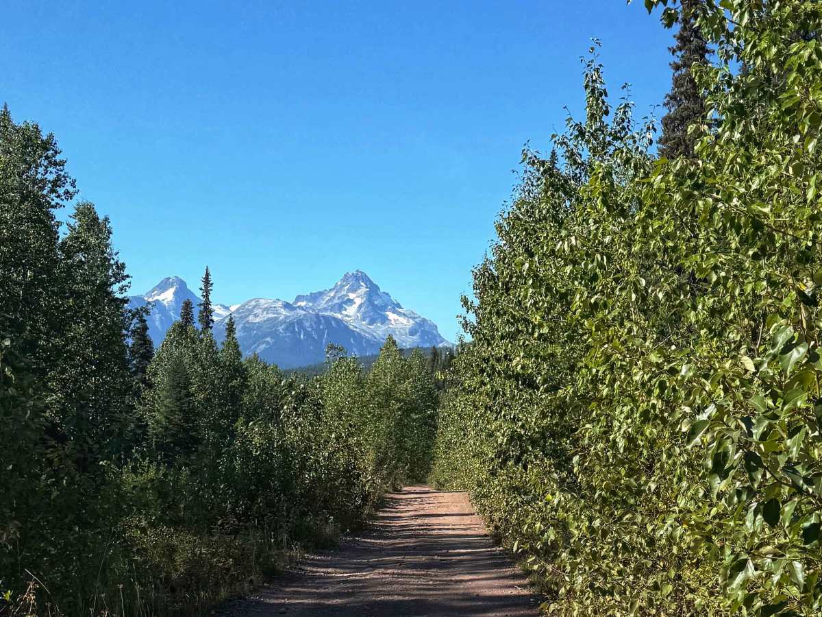 Telkwa Pass trail photo