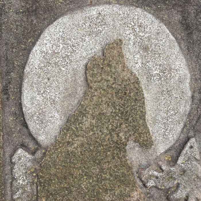 Scolpito nel monumento di pietra è il coyote selvaggio abbaiare alla luna piena. Bello, no? (Carved in the stone monument is the wild coyote barking at the full moon. Nice is not it?) Near Fire Tower to Black Fork Mountain