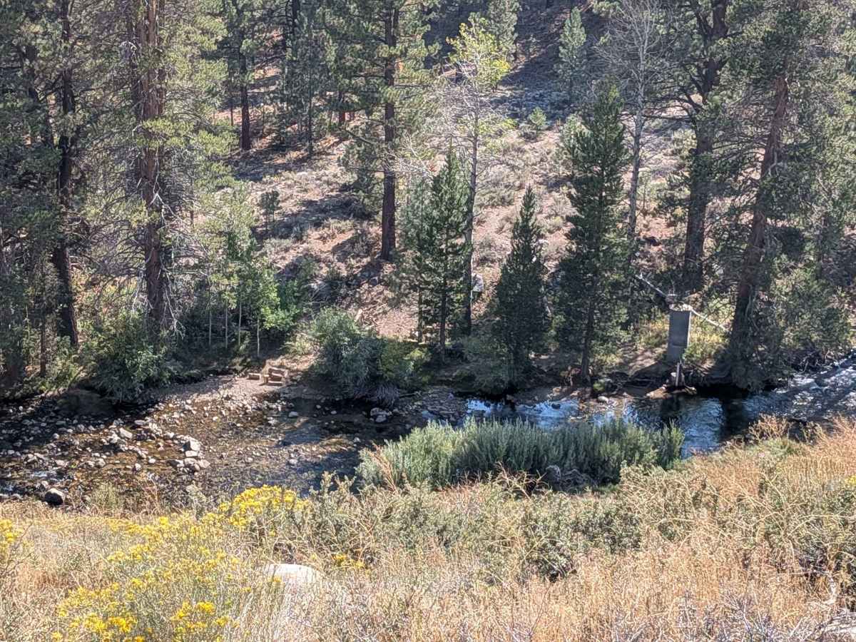 Leviathan Road East - FS 31052 photo 2