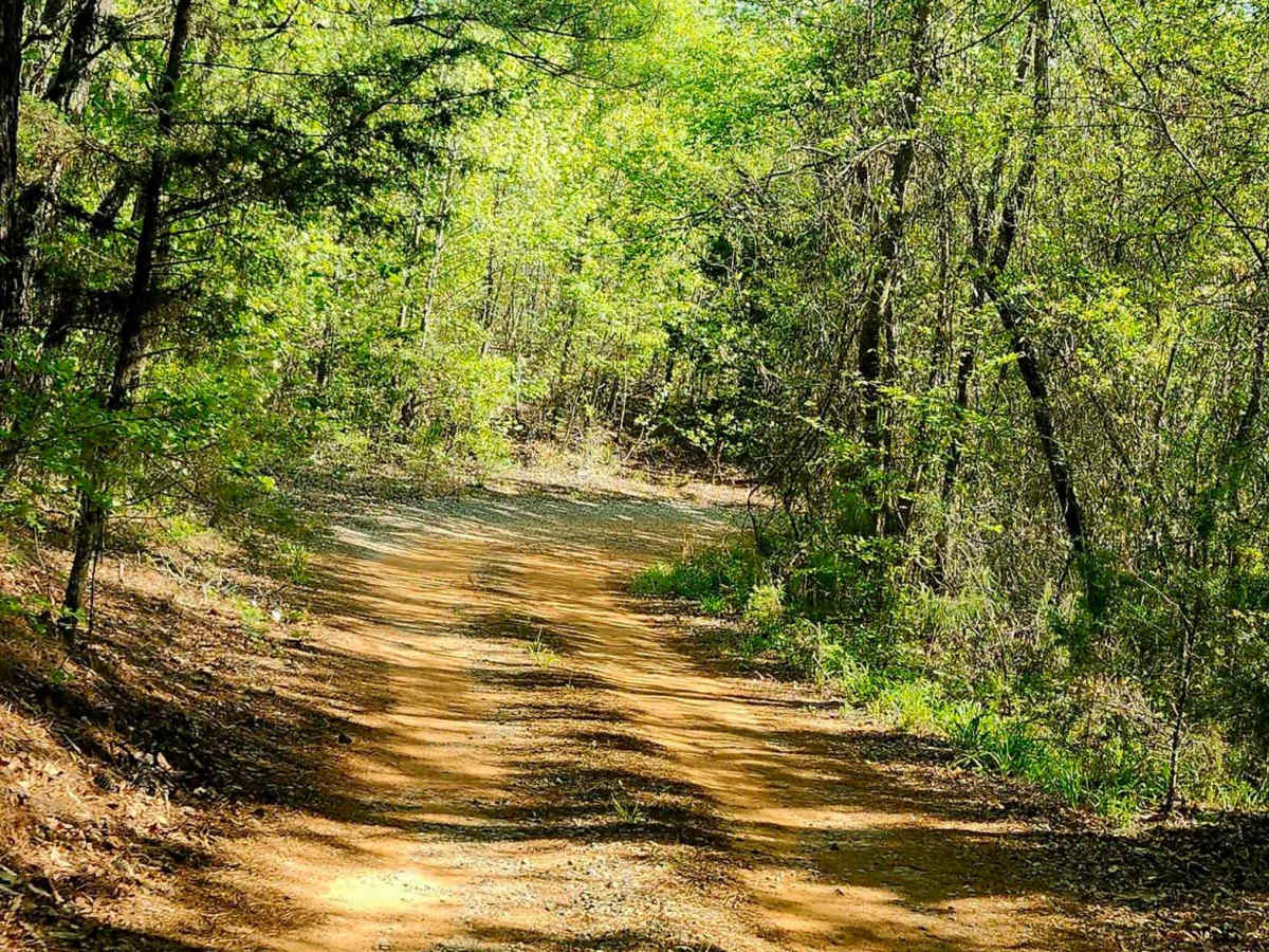 Alexander Hollow Trail photo 5