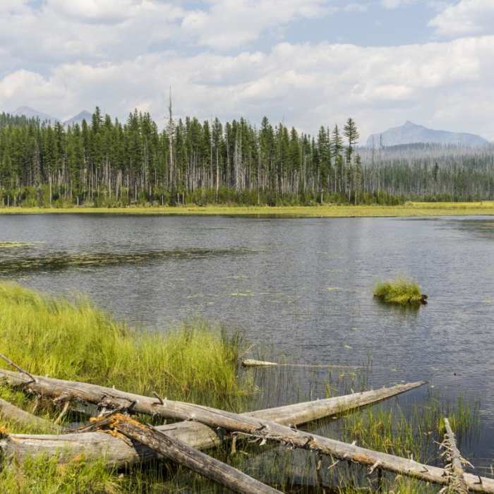 Near Howe Lake Trail