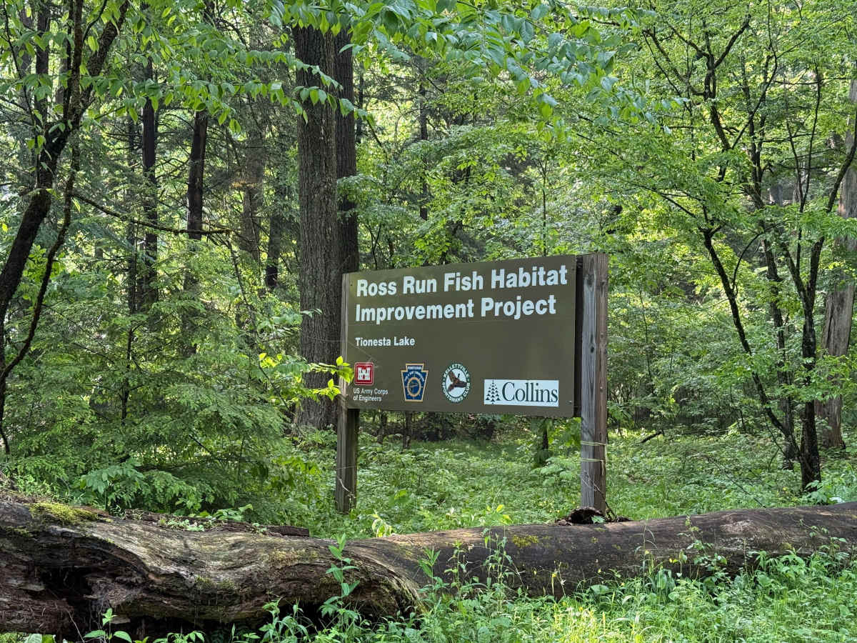 Ross Run Road - FS 85116A trail photo