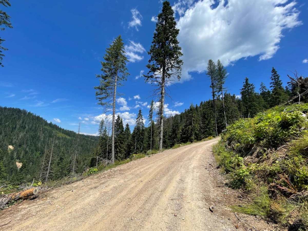 Echo Peak OHV trail photo