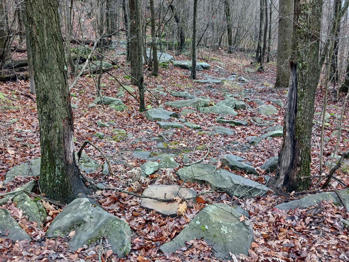 OHV 29 - Rock Run Recreation Area photo 6