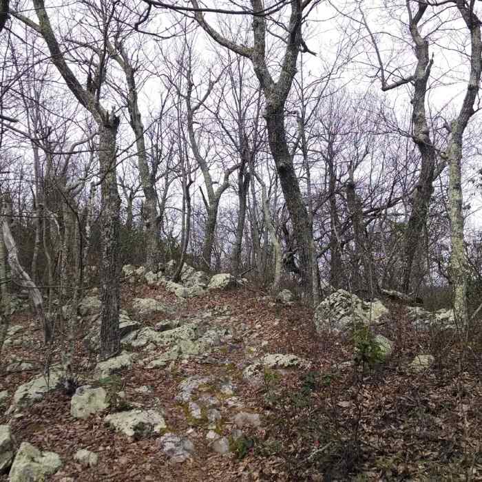 Near Sherando Recreation Area Loop