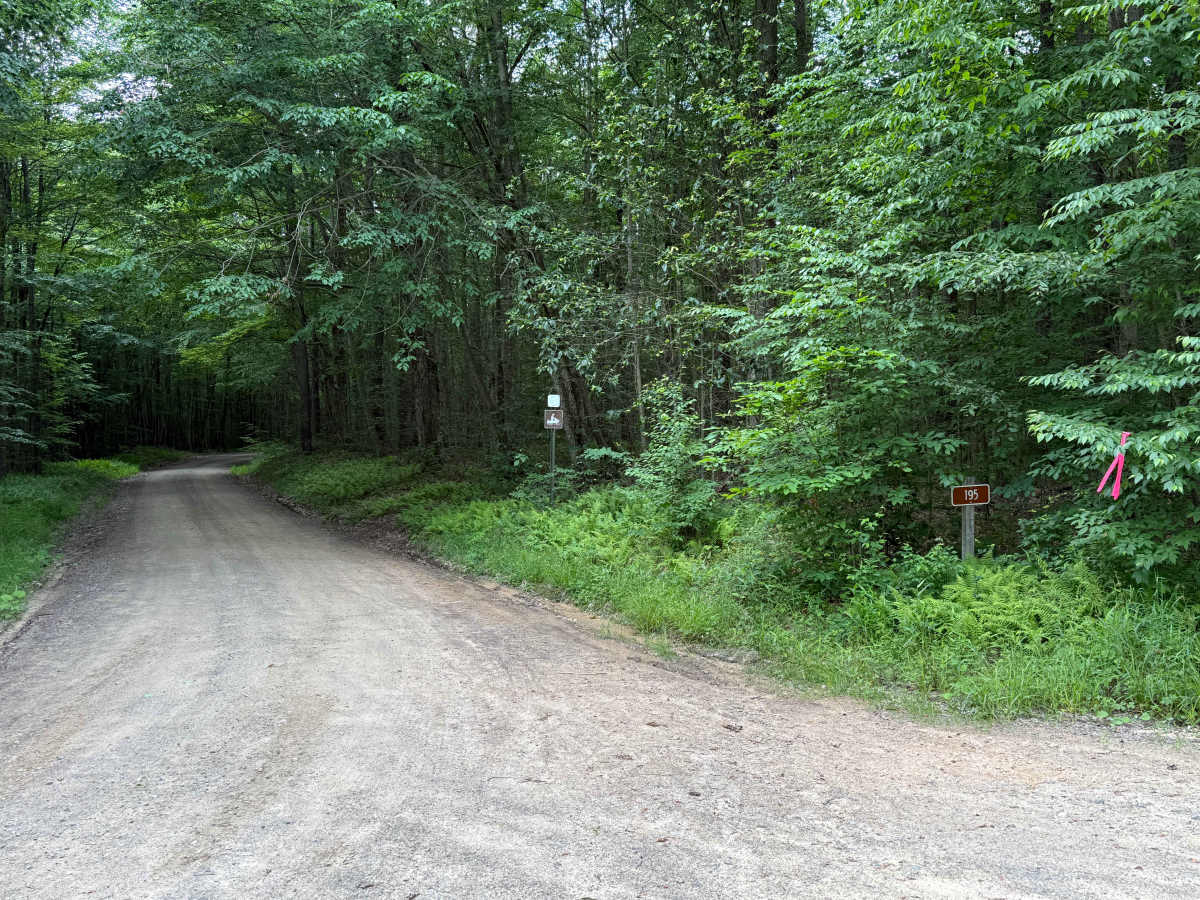 Martin Run - FS 195 trail photo