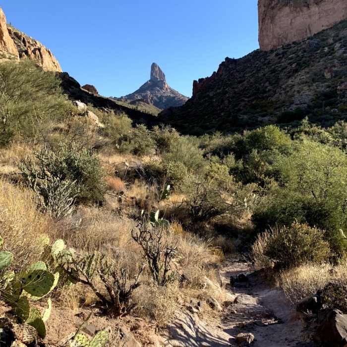 Near Dutchman Trail #104