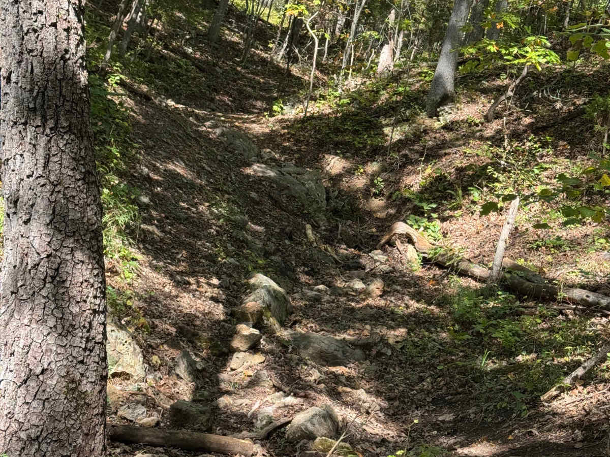 Tinkerbell trail photo
