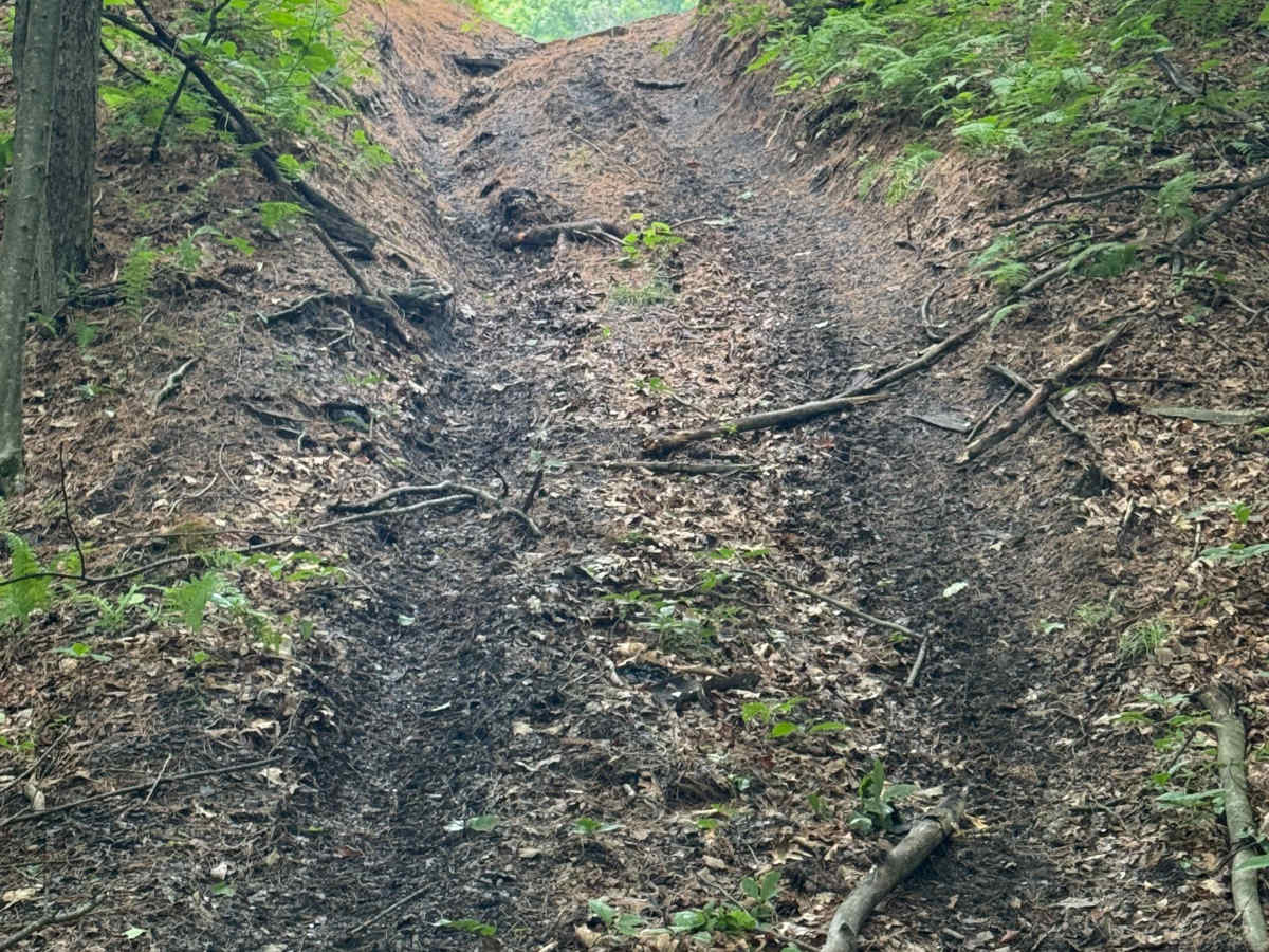 Trail 90 photo 2