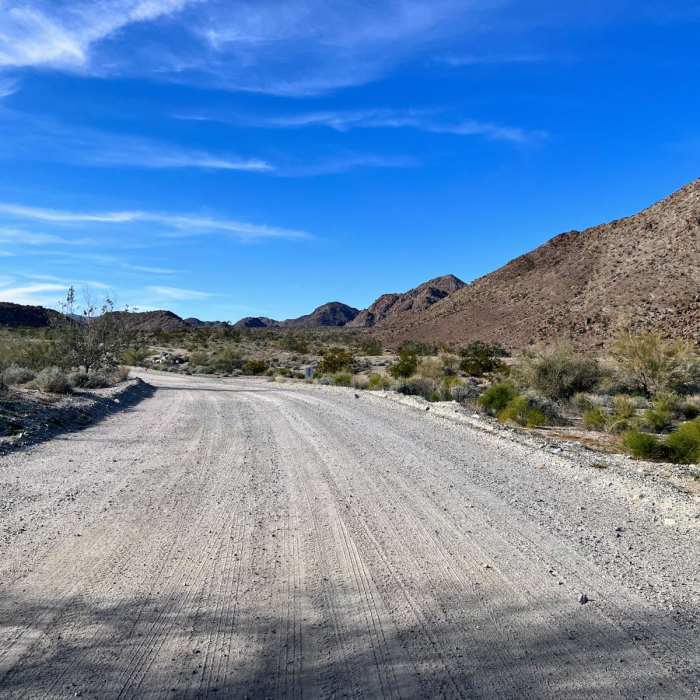 Near Lost Palms Canyon to Victory Palm Oasis