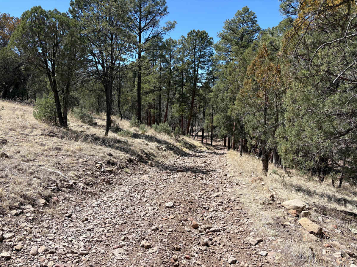 Lincoln Canyon Road - FS 4079T trail photo