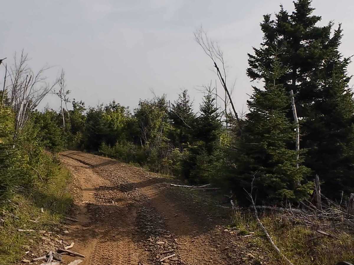 Hardscrabble Clear Cut photo 3