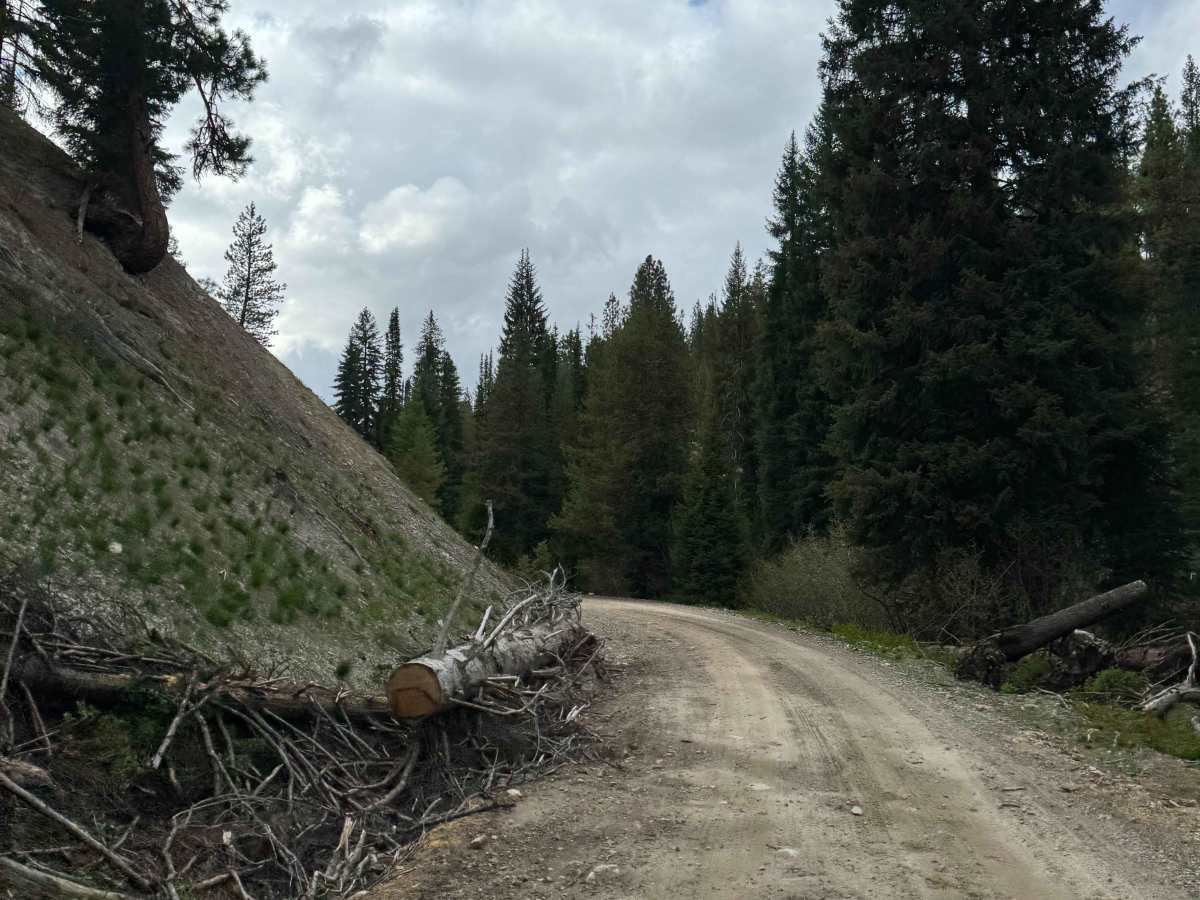 Phifer Creek Pass photo 3