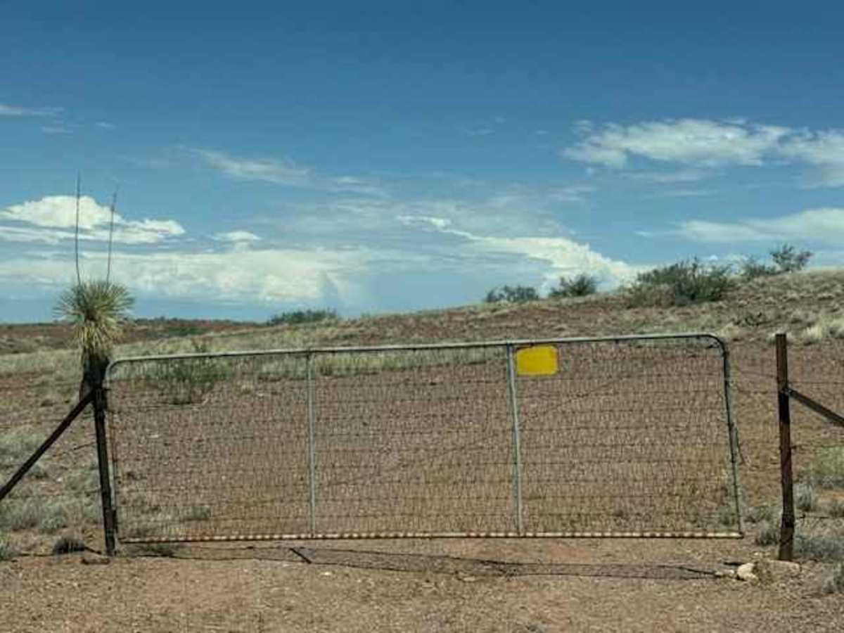BLM PE1211 trail photo