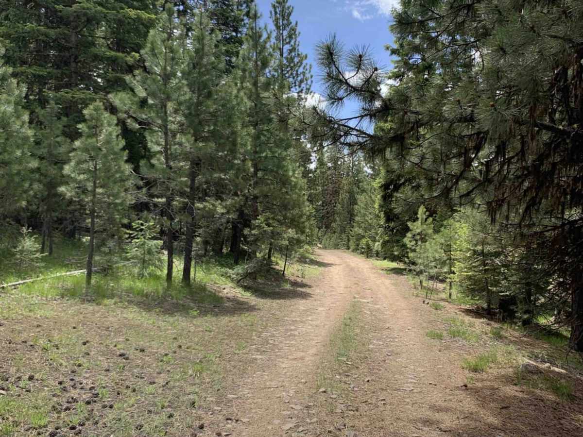 Malheur Ford trail photo