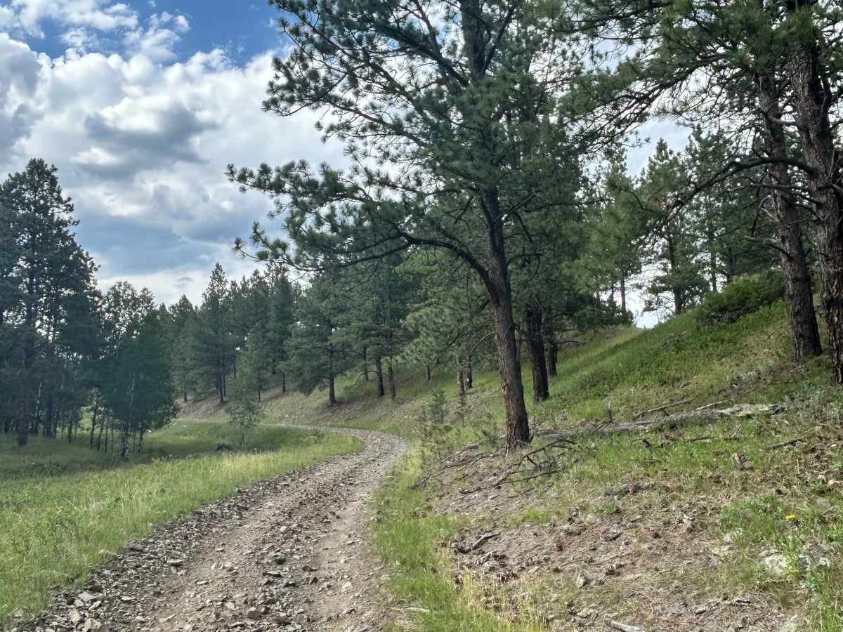 Valley Trail - FS 669 photo 3