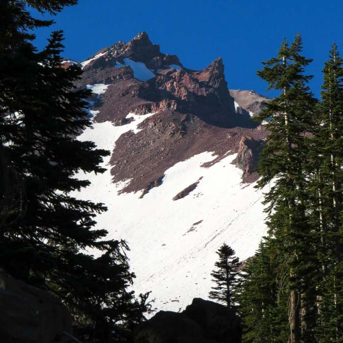 Near Old Ski Bowl via Snow Bunny Flat Trail