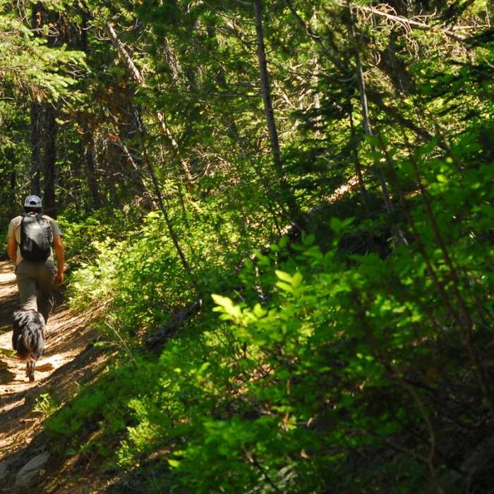 Near Nannie Peak/PCT Loop Hike