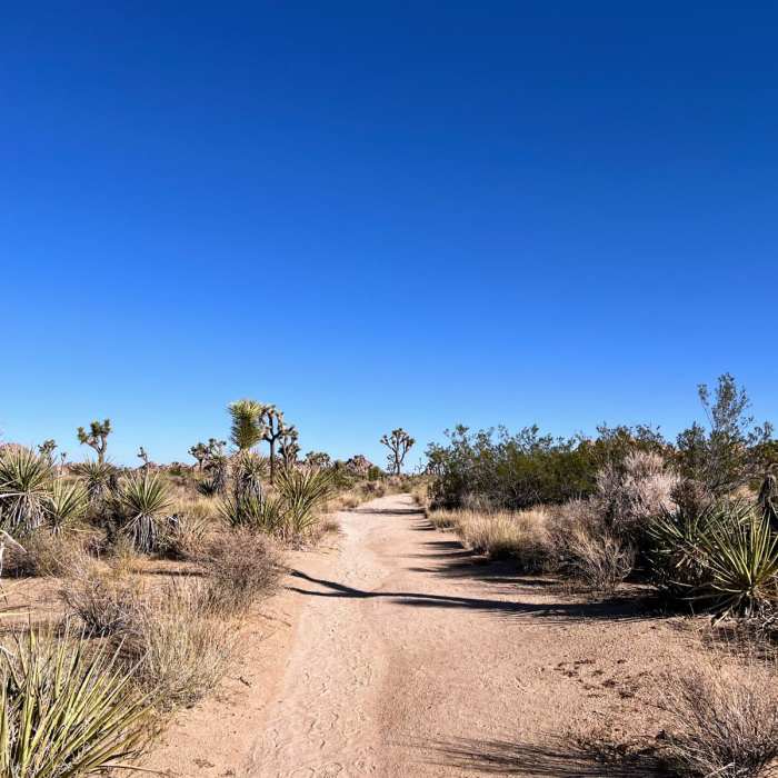 Near West Entrance to Boy Scout South