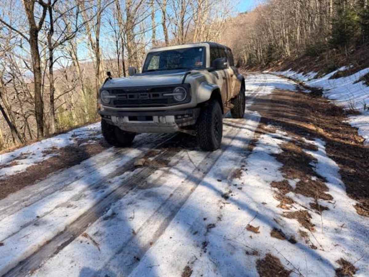 McGowen Mountain  photo 6