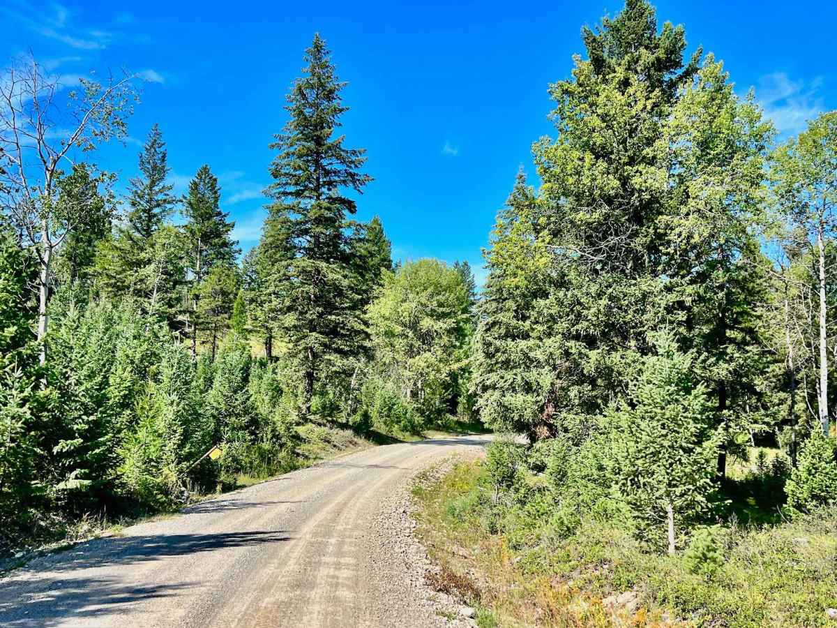 Waldo Gold Creek photo 6