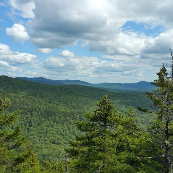 From the summit Near Green Mountain Trail #424