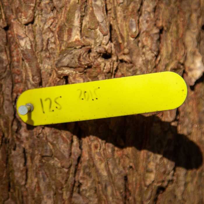 Near Grandview Rim Trail