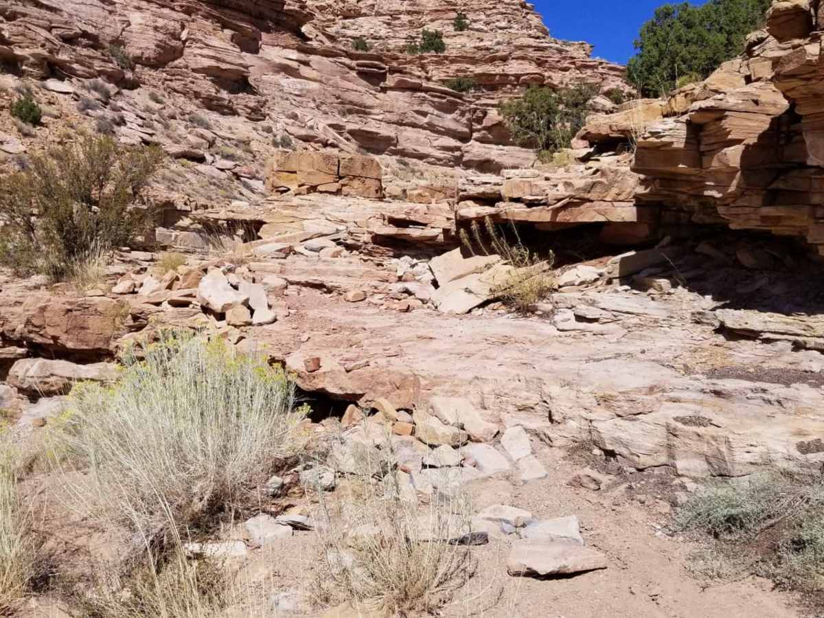 Waterfall Trail photo 5