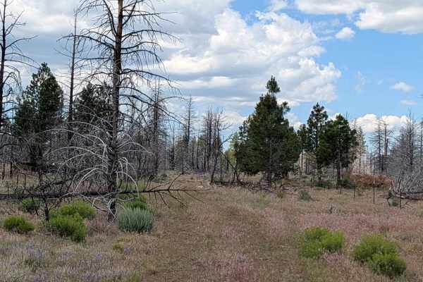 Porterfield Ranch