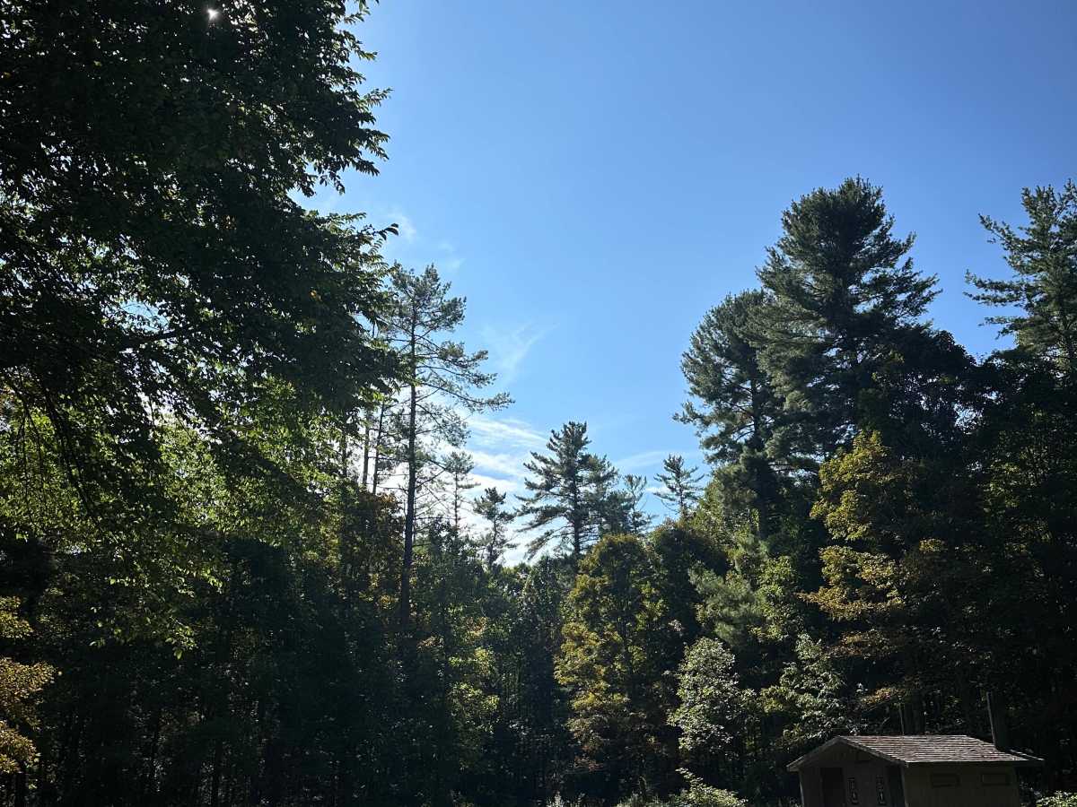 Elkhorn Lake photo 2