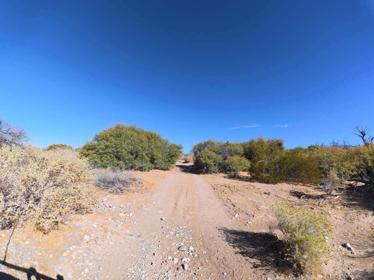 BLM RS2477 photo 3