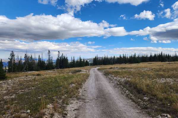Blue Lake Campground - FS 50013