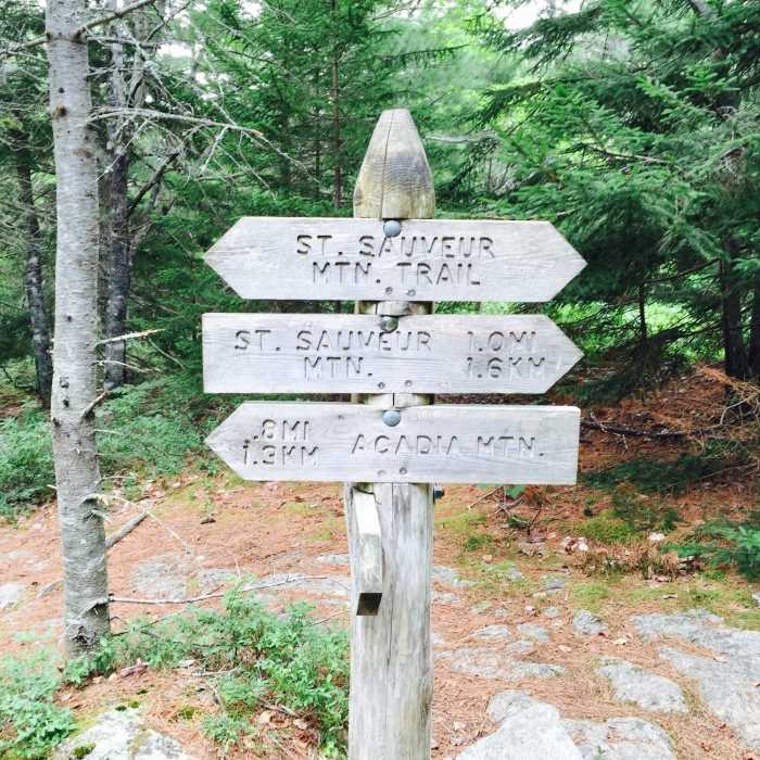 Near Man O' War Brook Fire Road