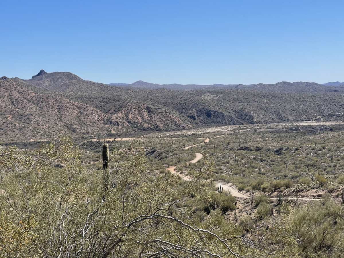 The Rincon Cutover trail photo