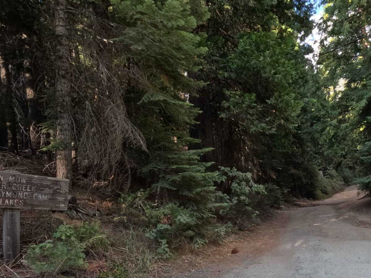 Buffin Meadow Road - FS 5S043 trail photo