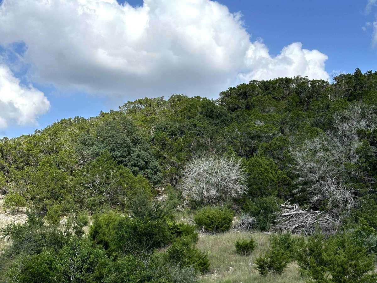North Pasture Trail photo 3