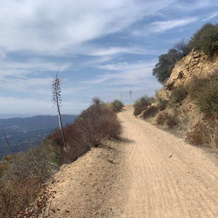 Near Chaney Trail Loop