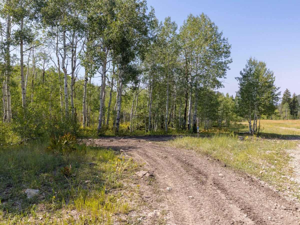 Pinchot to Cowboy Camp Trail photo 5
