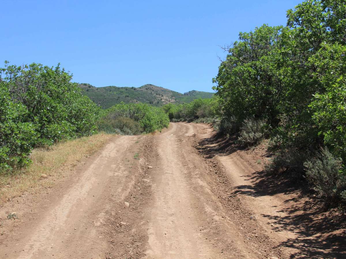 The Crown: BLM Road #8320 photo 5