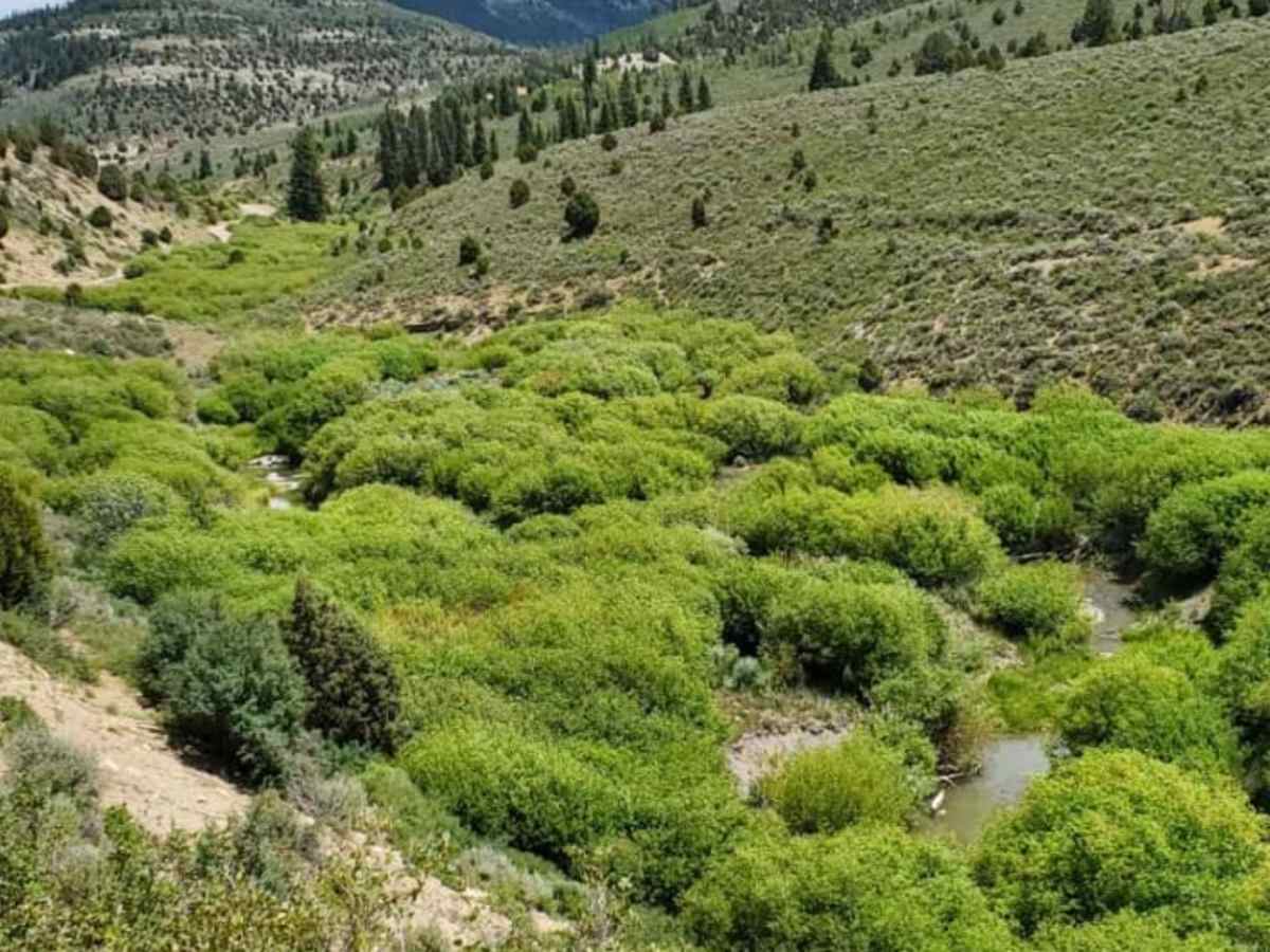 White River Loop photo 2