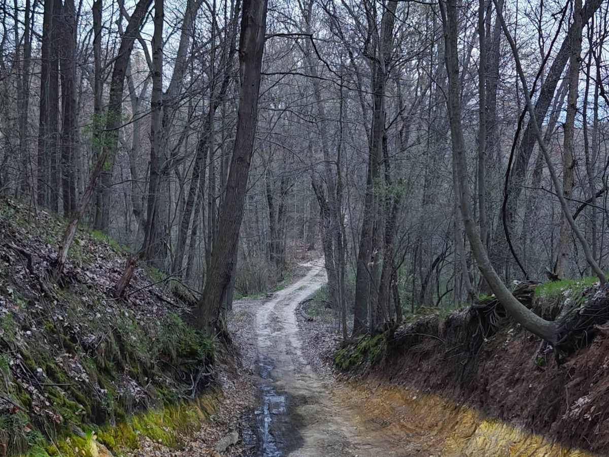 Hart Trail photo 5