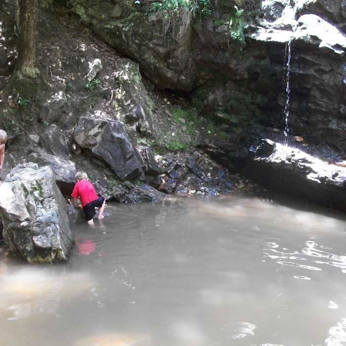 Playing in the creek Near Peavine Falls and Peavine Gorge