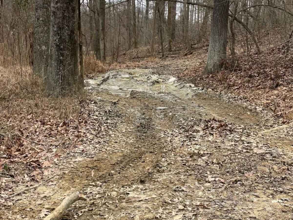 Redbird Trail 5x photo 4