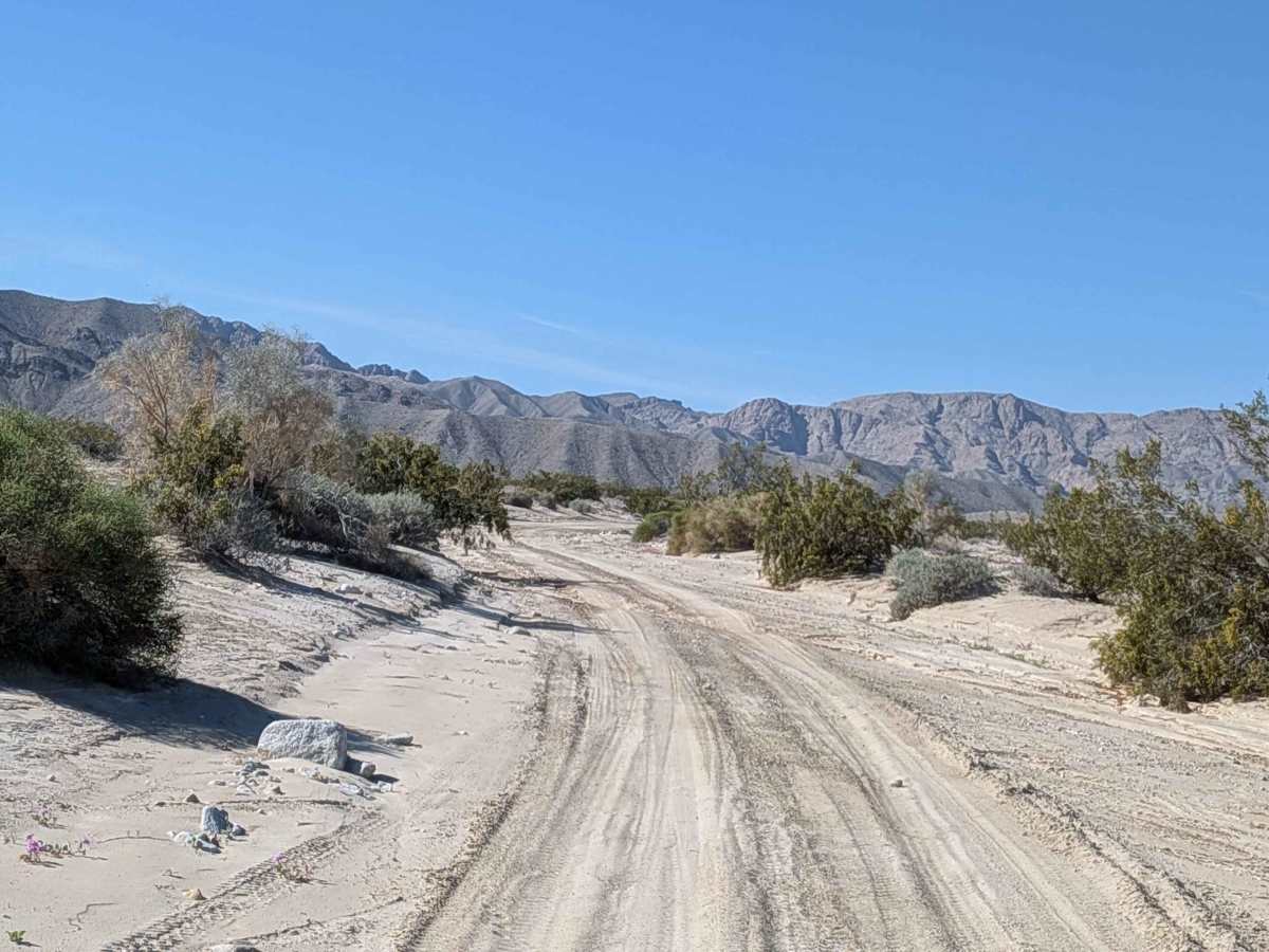 BLM 082 photo 5