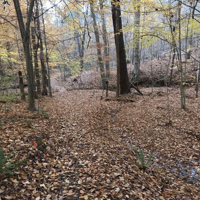 Near Francis L. Liles Trail