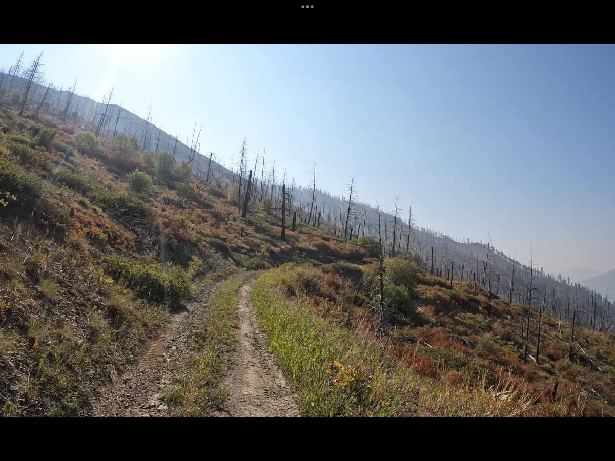 Dutchler Mountain trail photo