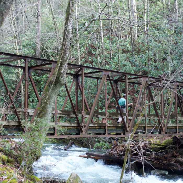 Near Bradley Fork Trail