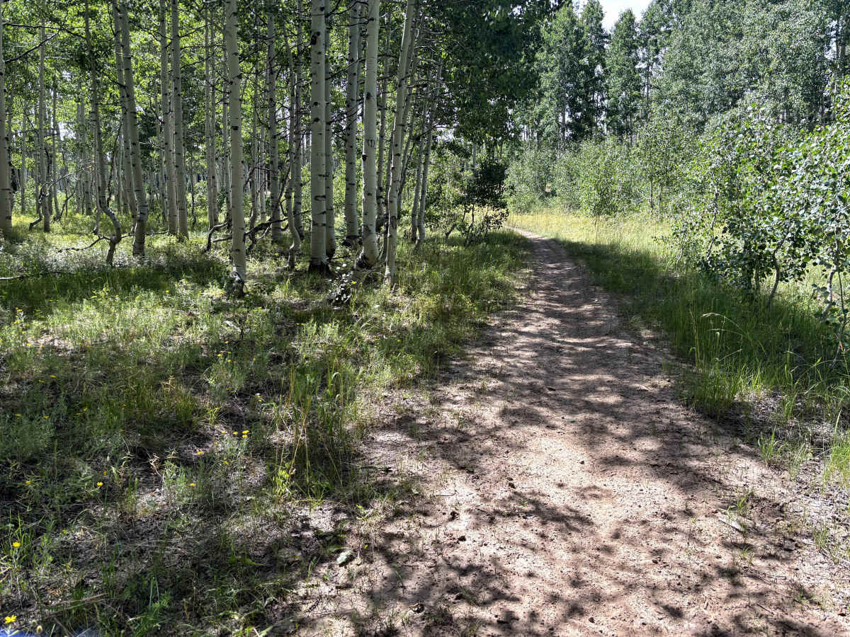 Red Canyon Trail photo 2