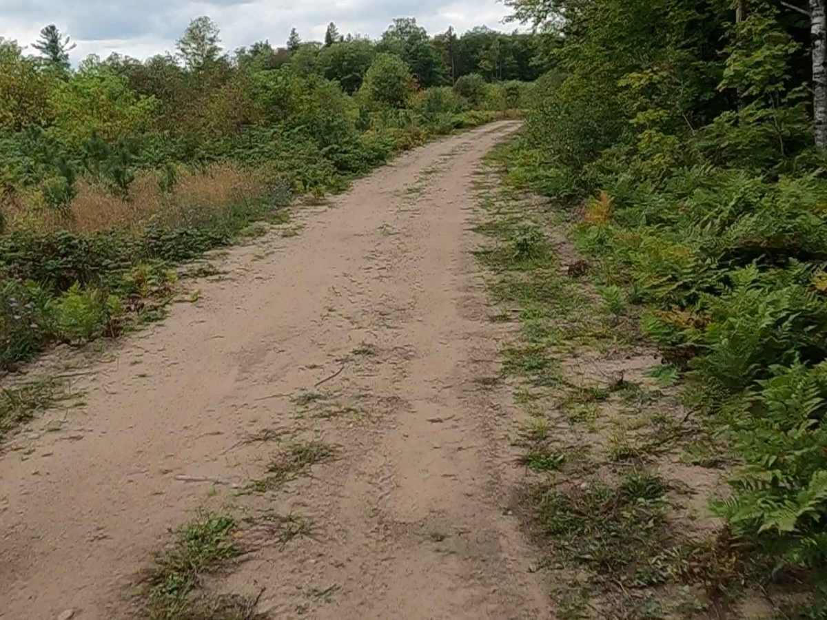 Haverstock Creek Road photo 2