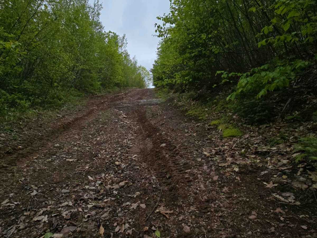 Windmill Powerline Offshoot trail photo